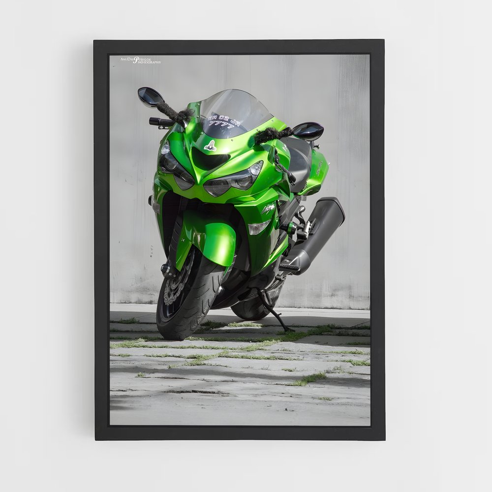 Poster Ninja Vert (vue 2)